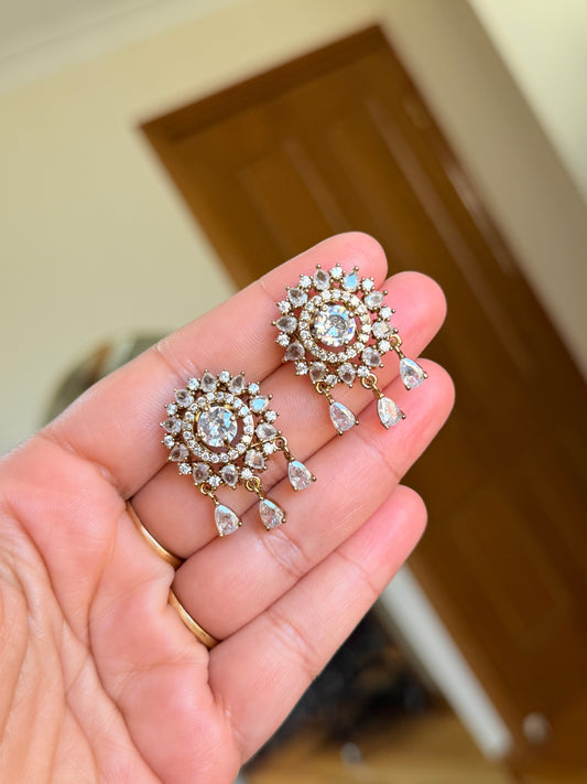 Ad earrings